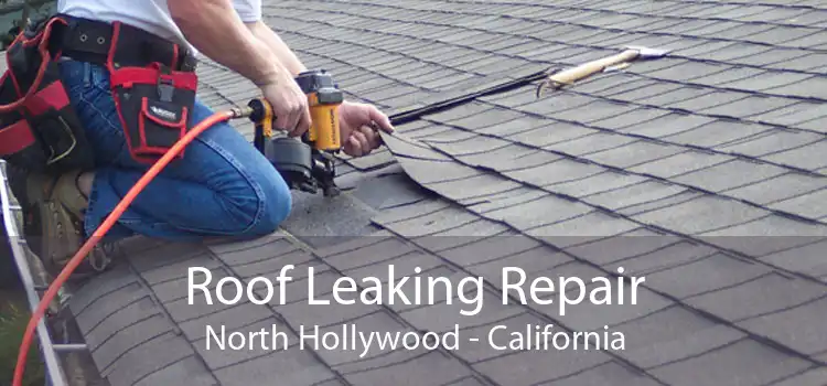 Roof Leaking Repair North Hollywood - California